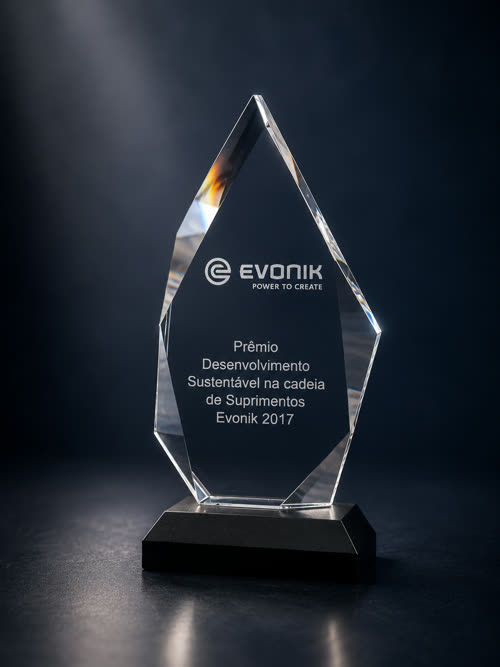 Prêmio Evonik 2017